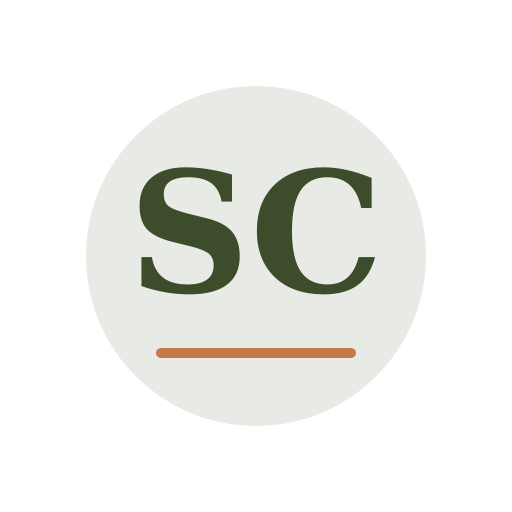 Sand Chimney Service logo